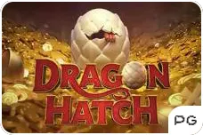 dragon hatch